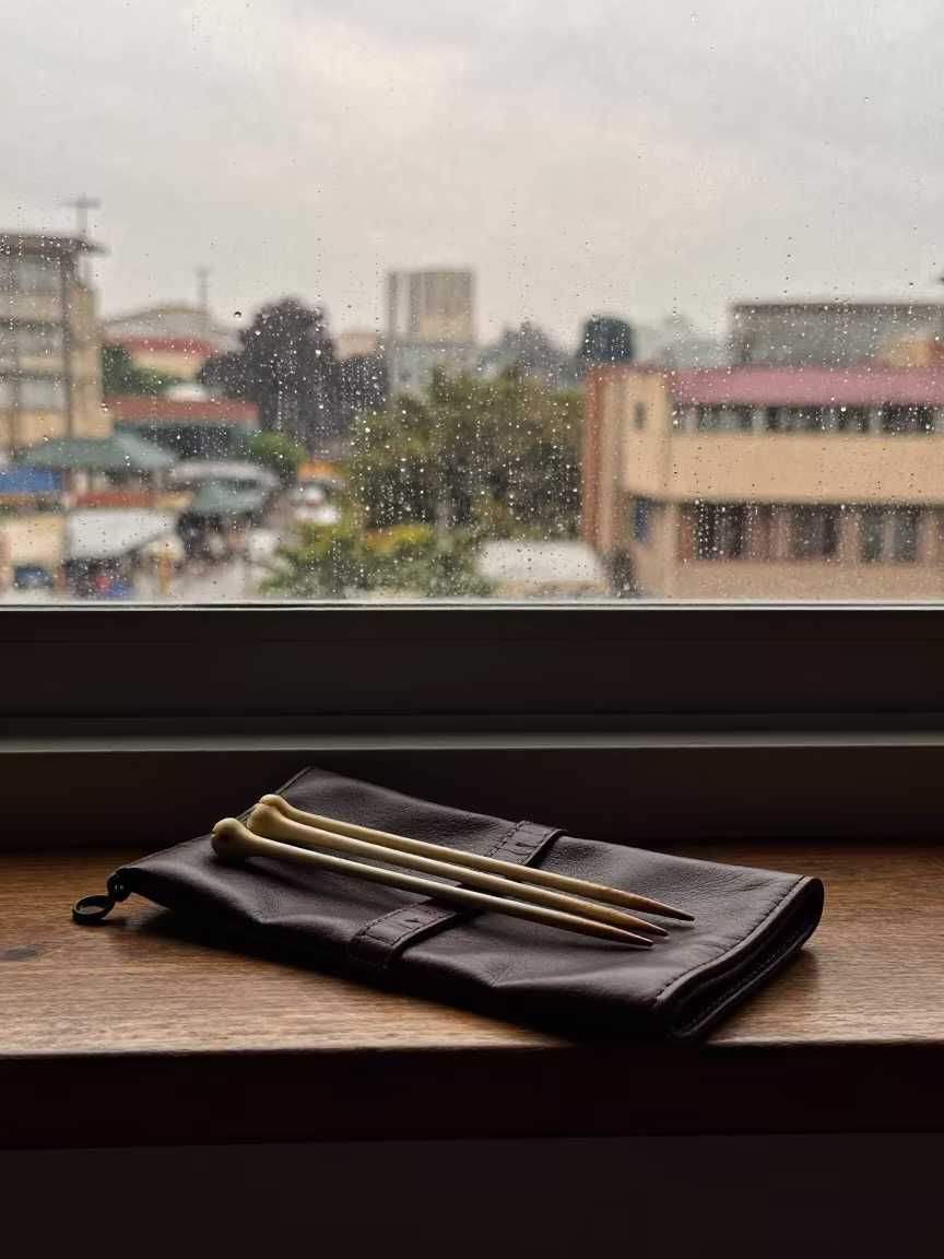 Bone Knitting Needles in Leather Pouch in beside a rain-streaked window near Brazzaville