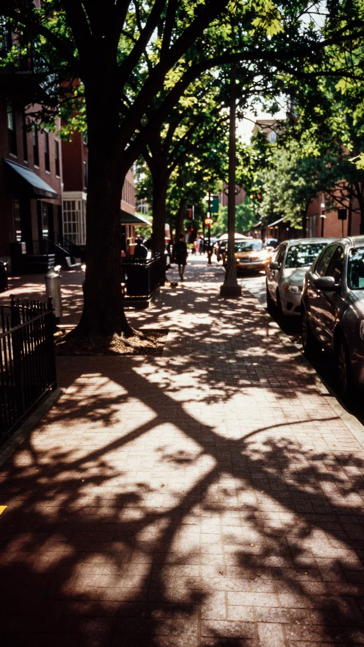 Boston Early Afternoon Street Scene with Wicker Shadow and Leaf Details in in Boston, Massachusetts, United States