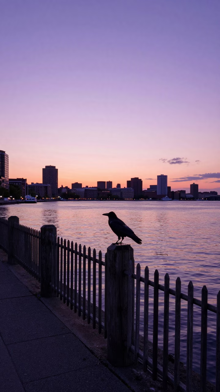 Boston Harbor Sunset View with Crow on Fence Post and Watering Bottle in in Boston, Massachusetts, United States