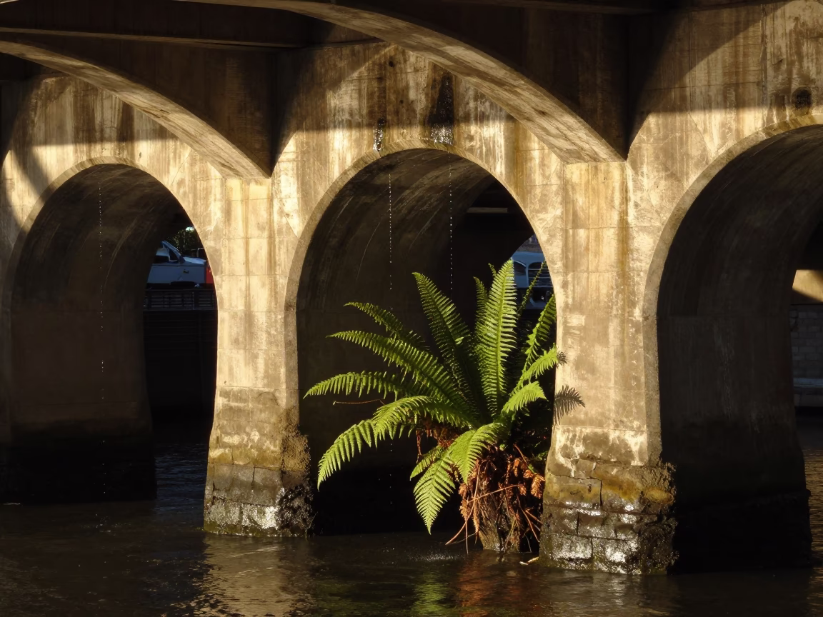 Boston Harbor Viaduct Undercroft Dripping Stone and Ferns in Honeyed Evening Light in in Boston, Massachusetts, United States