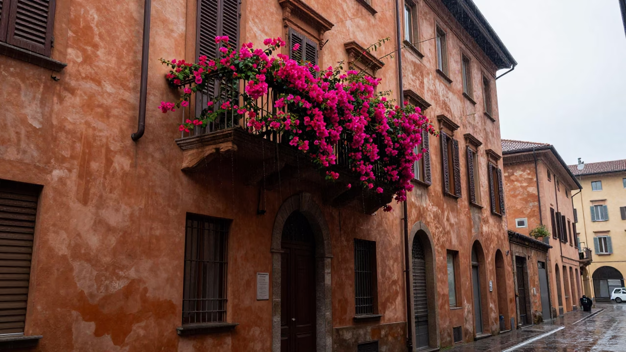 Bougainvillea Balcony in Bologna in in Bologna, Italy