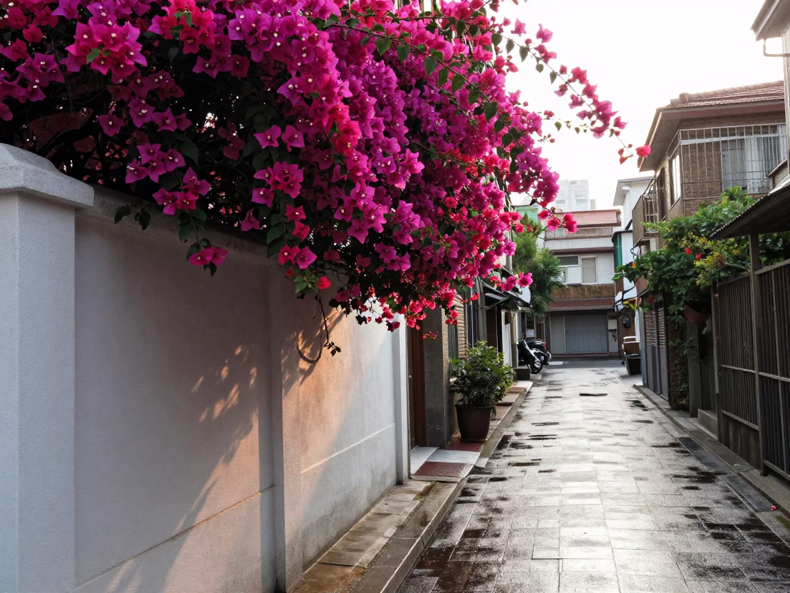 Bougainvillea Cascade at As First Light Reaches The Scene in Taipei in in Taipei, Taiwan