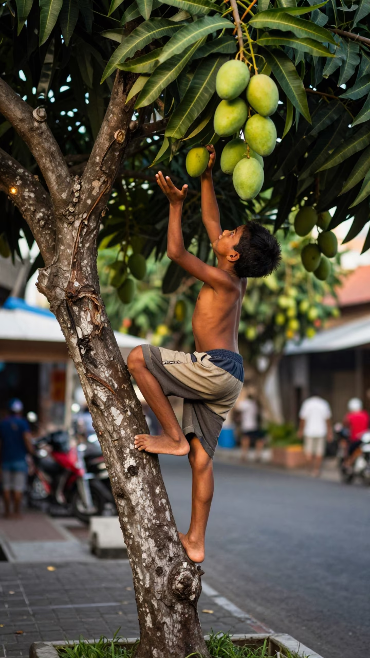 Boy Climbing Mango Tree in Denpasar Indonesia Early Afternoon Street Scene in in Denpasar, Indonesia