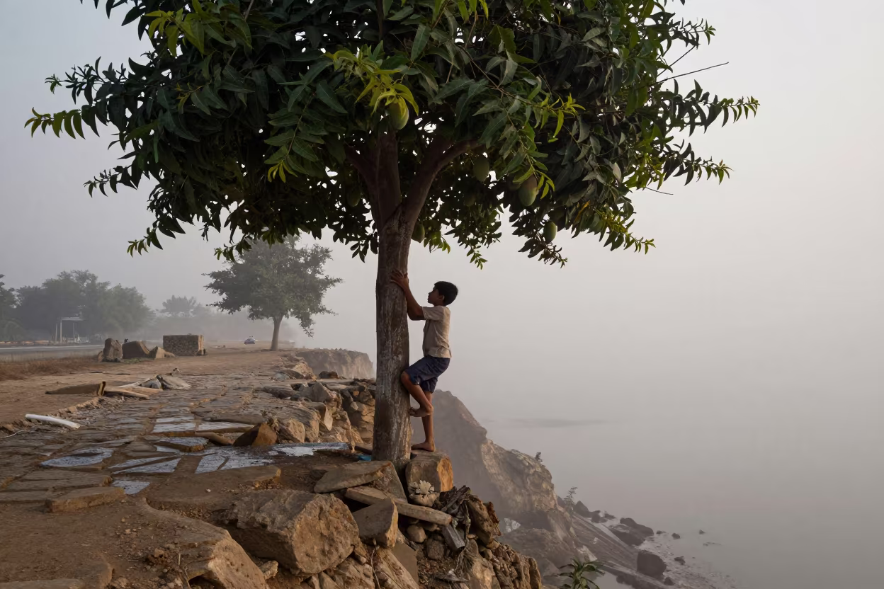 Boy Climbs Mango Tree on Misty Karachi Cliff in along a salt-sprayed cliff edge near Karachi