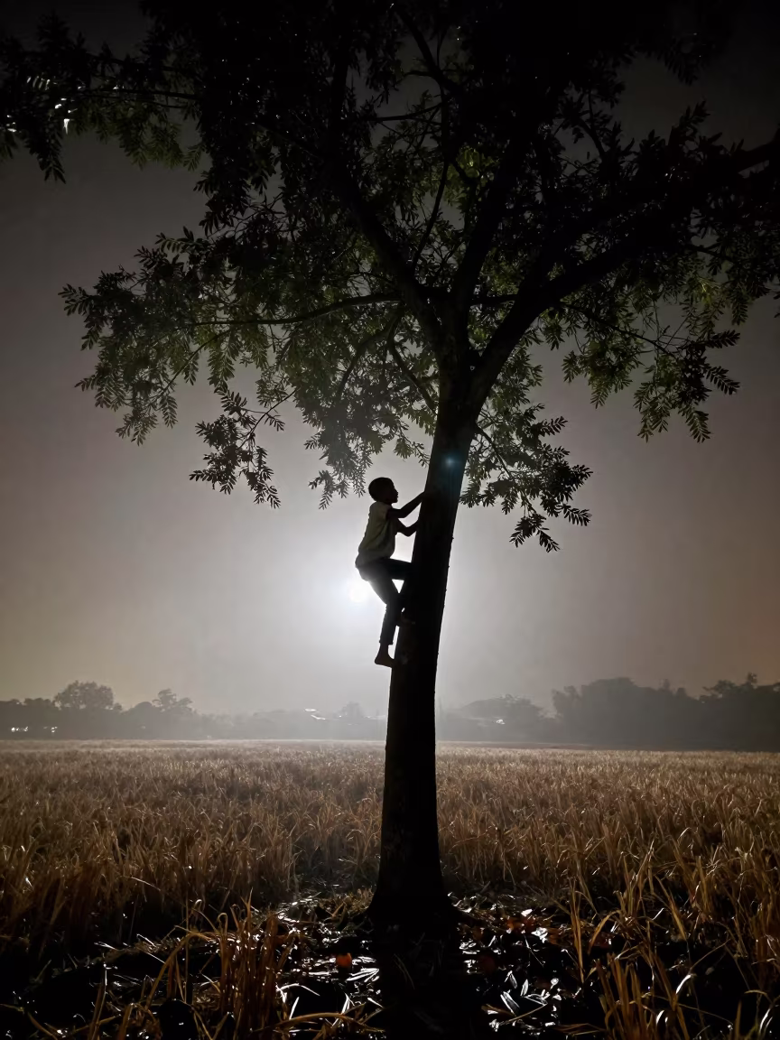 Boy Climbs Night Tree Above Fog Layer in across a harvested grain field near Kano