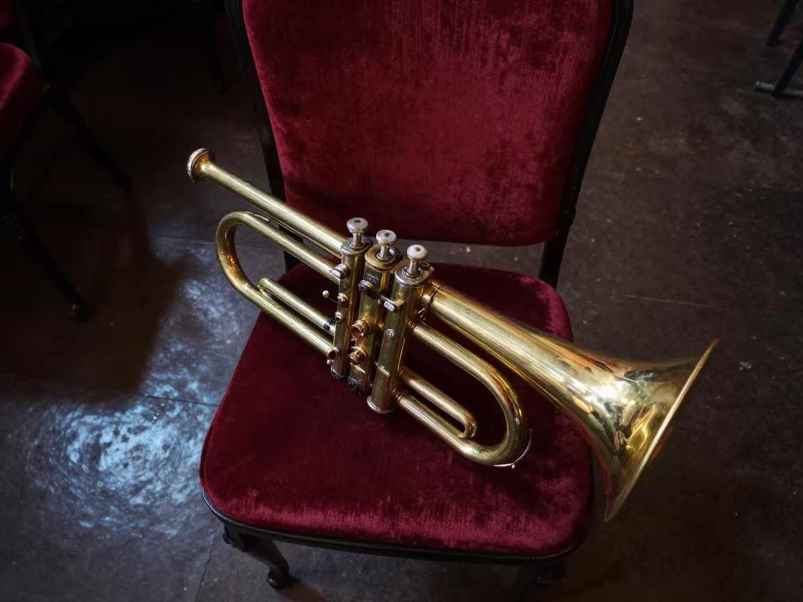 Brass Band Instruments on Velvet Chair in on a velvet chair in Bywater, New Orleans