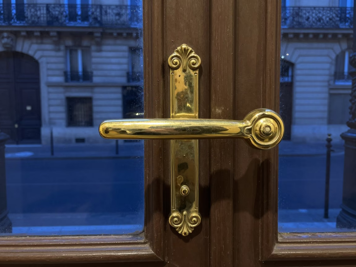 Brass Door Handle in Paris in in Paris, France