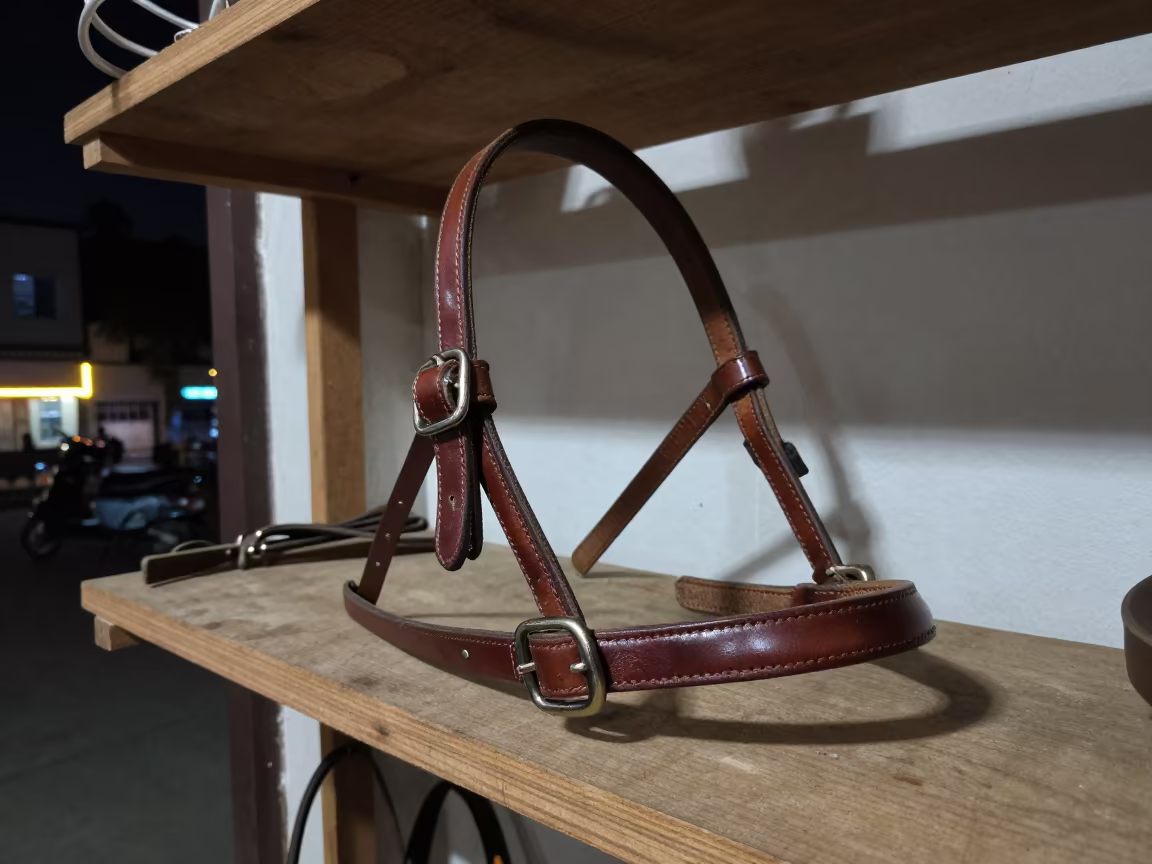 Bridle on Workshop Shelf Near Cuttack in on a workshop shelf near Cuttack