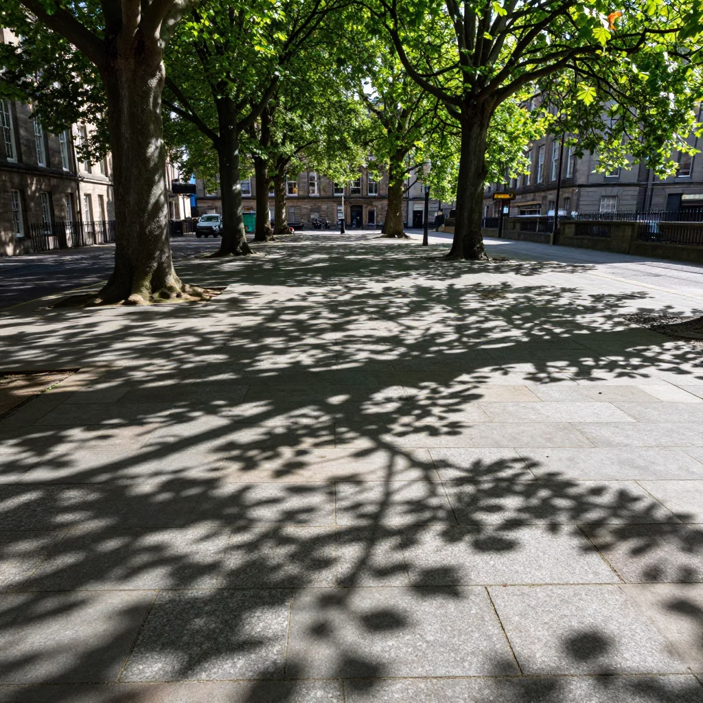 Bright Afternoon Light Casts Leaf Shadows on Tiled Pavement in Edinburgh in in Edinburgh, United Kingdom