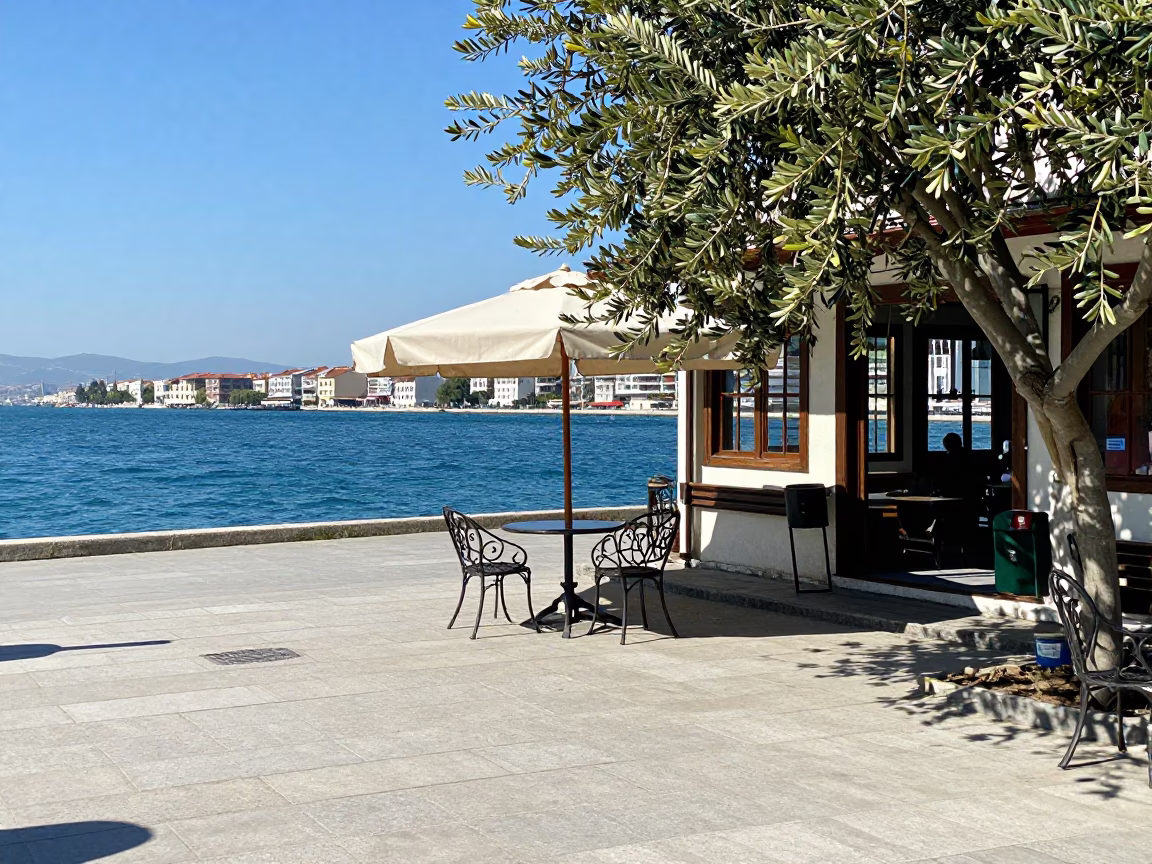 Bright Midday Street Scene in Izmir Turkey With Olive Branch and Urban Details in in Izmir, Turkey
