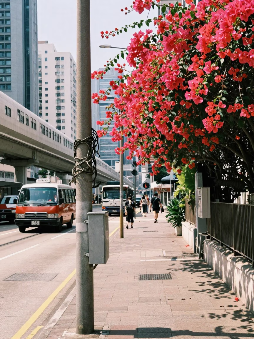 Bright Midmorning Hong Kong Street Scene with Monorail and Bougainvillea in in Hong Kong, Hong Kong