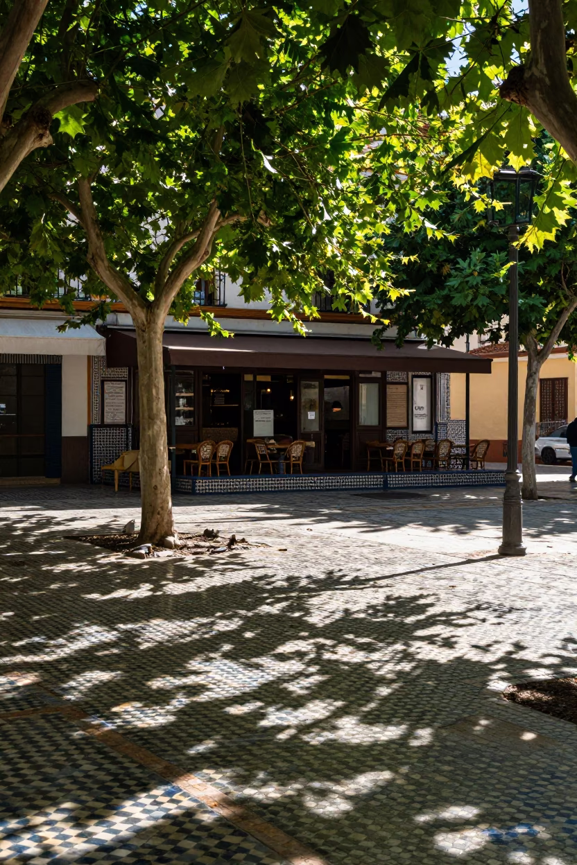 Bright midmorning light illuminating leaf shadows on tiled floor in Seville Spain in in Seville, Spain