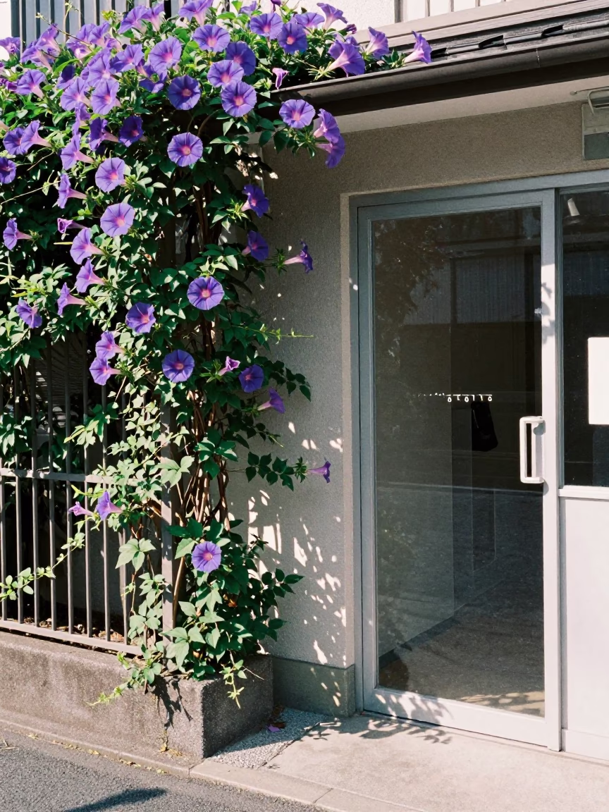 Bright Midmorning Light on Door Reflection in Tokyo in in Tokyo, Japan