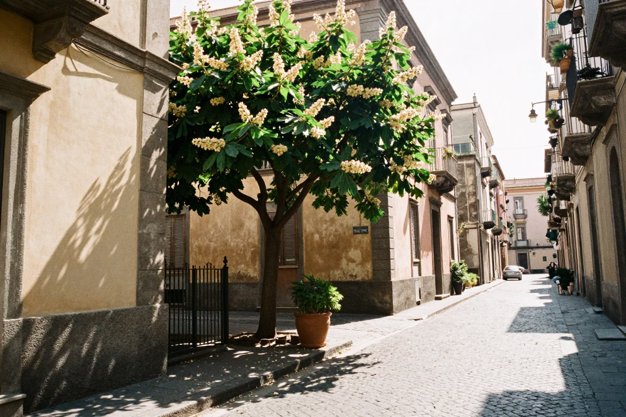 Bright Midmorning Naples Italy Street Scene with Chestnut Tree Husks and Local Market Activity in in Naples, Italy