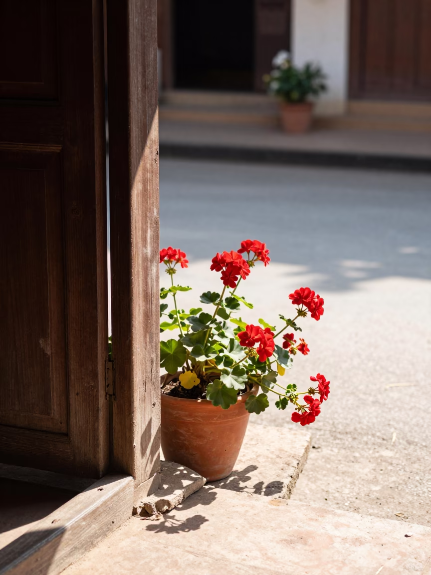 Bright Midmorning Scene in Luang Prabang Laos with Wooden Doorframe and Geraniums in in Luang Prabang, Laos
