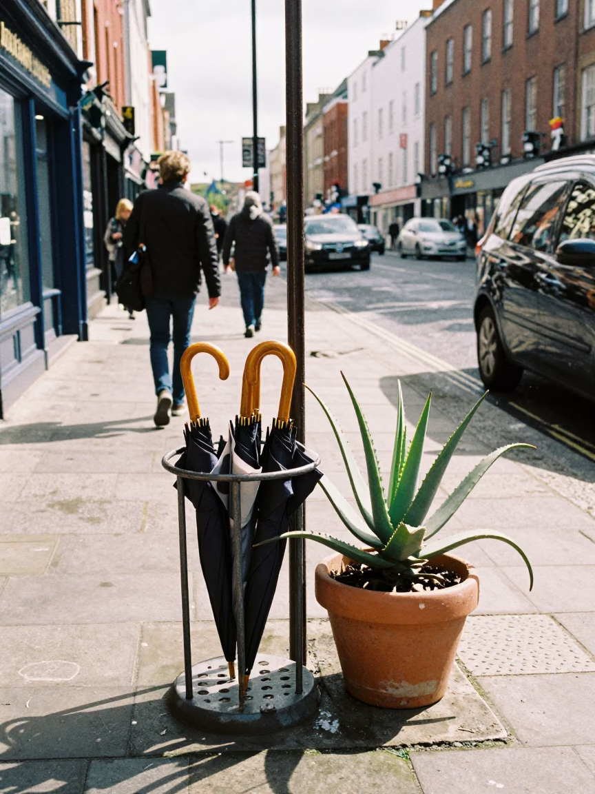Bright Midmorning Street Scene in Dublin Ireland with Umbrella Stand and Aloe Vera Plant in in Dublin, Ireland
