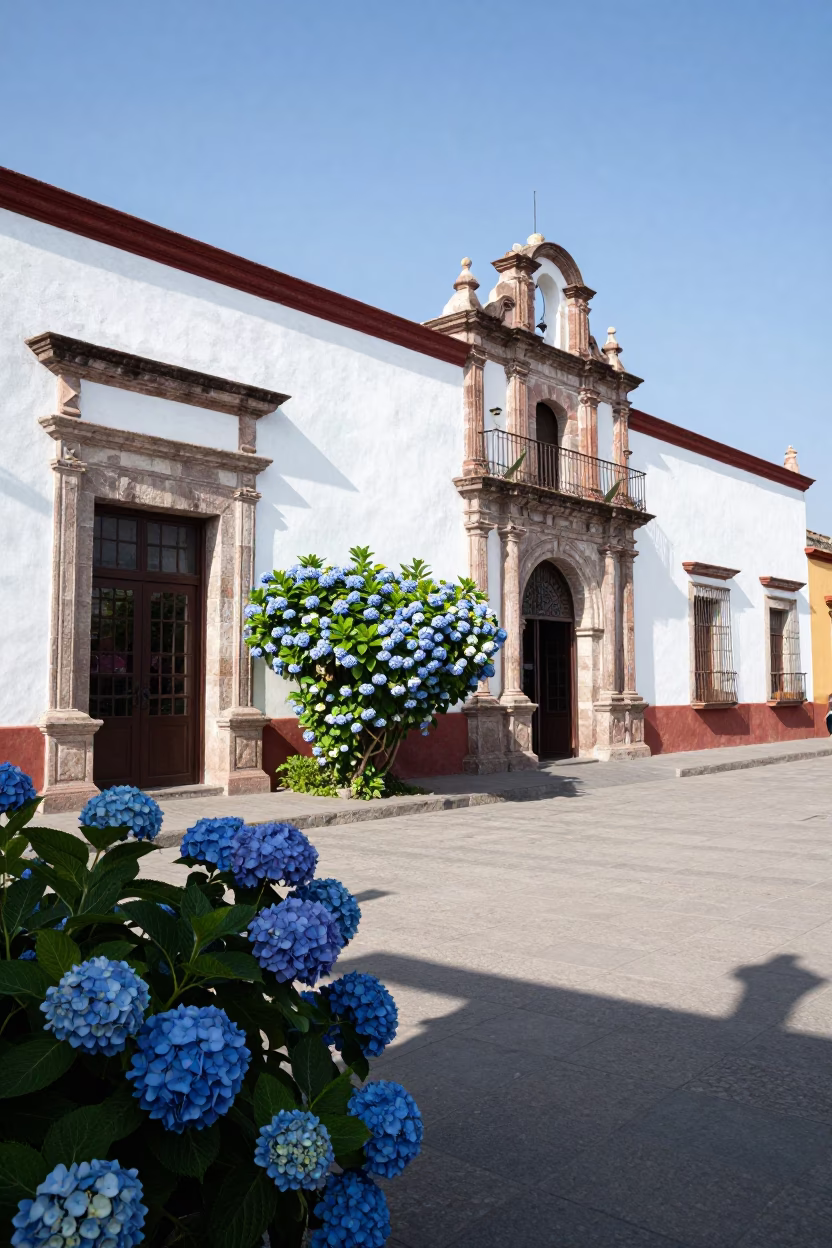 Bright Midmorning Street Scene in Merida Mexico with Blue Hydrangeas and Colonial Architecture in in Merida, Mexico