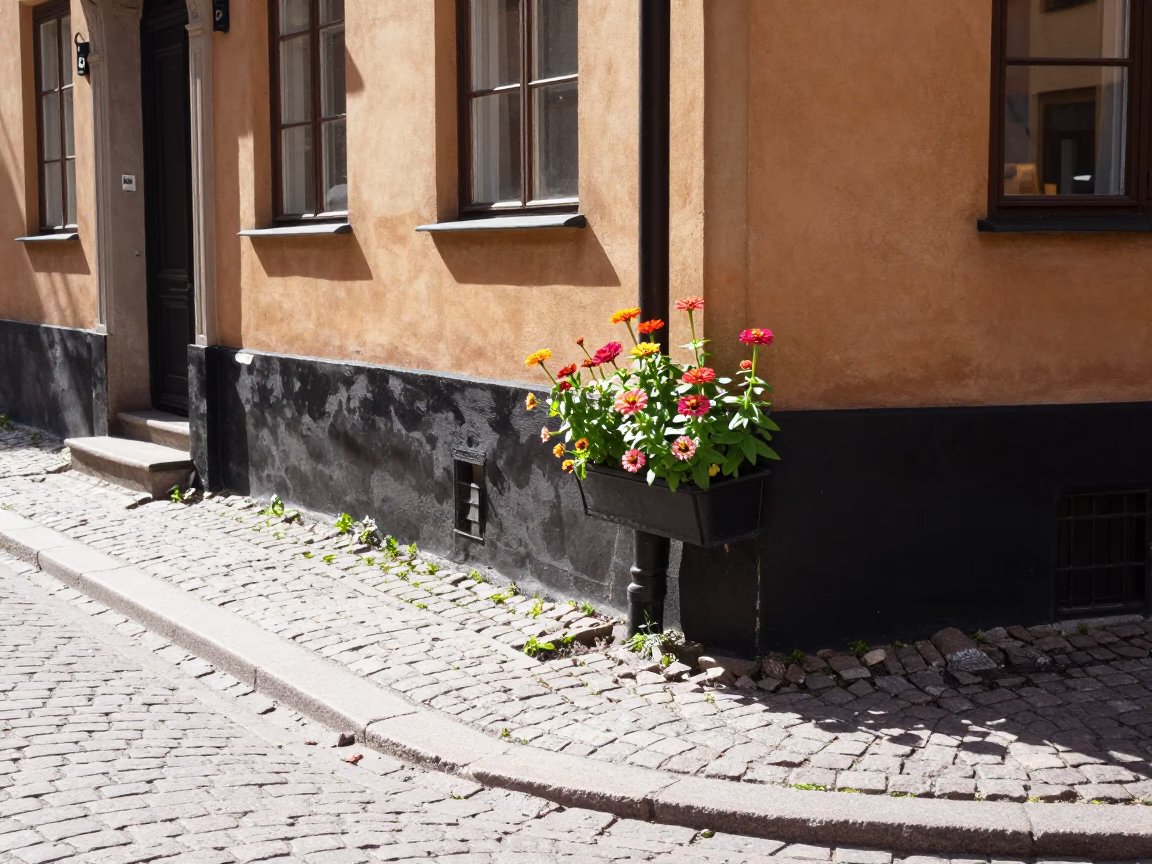 Bright Midmorning Sunlight Illuminating Stockholm Street Corner with Zinnias and Condensation on Window Latch in in Stockholm, Sweden