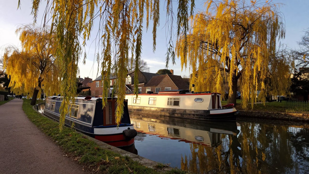 Bristol Canal Evening with Houseboat and Autumn Willows in Honeyed Light in in Bristol, United Kingdom
