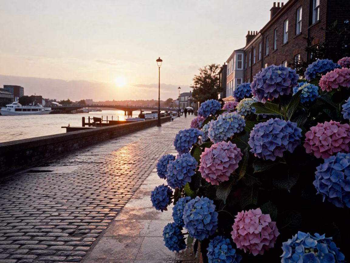 Bristol Docks at Sunset with Hydrangeas and Historic Quayside Architecture in in Bristol, United Kingdom