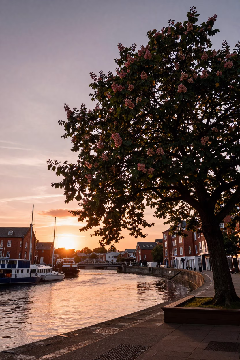 Bristol Docks Copper Light Evening Scene with Chestnut Tree Husks in in Bristol, United Kingdom