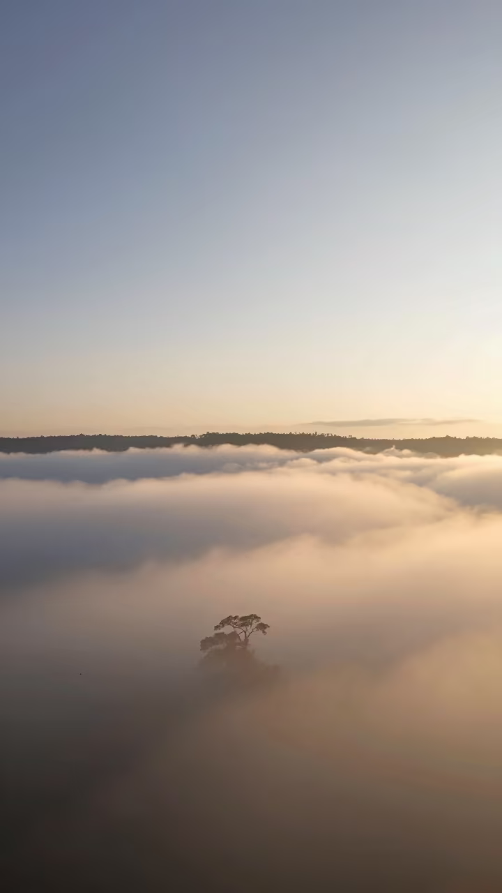 Brocken Spectre Frozen in Colombian Valley Fog in in Colombia