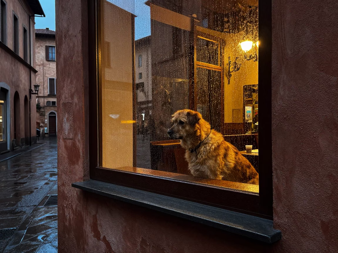 Brown Dog in Bologna in in Bologna, Italy
