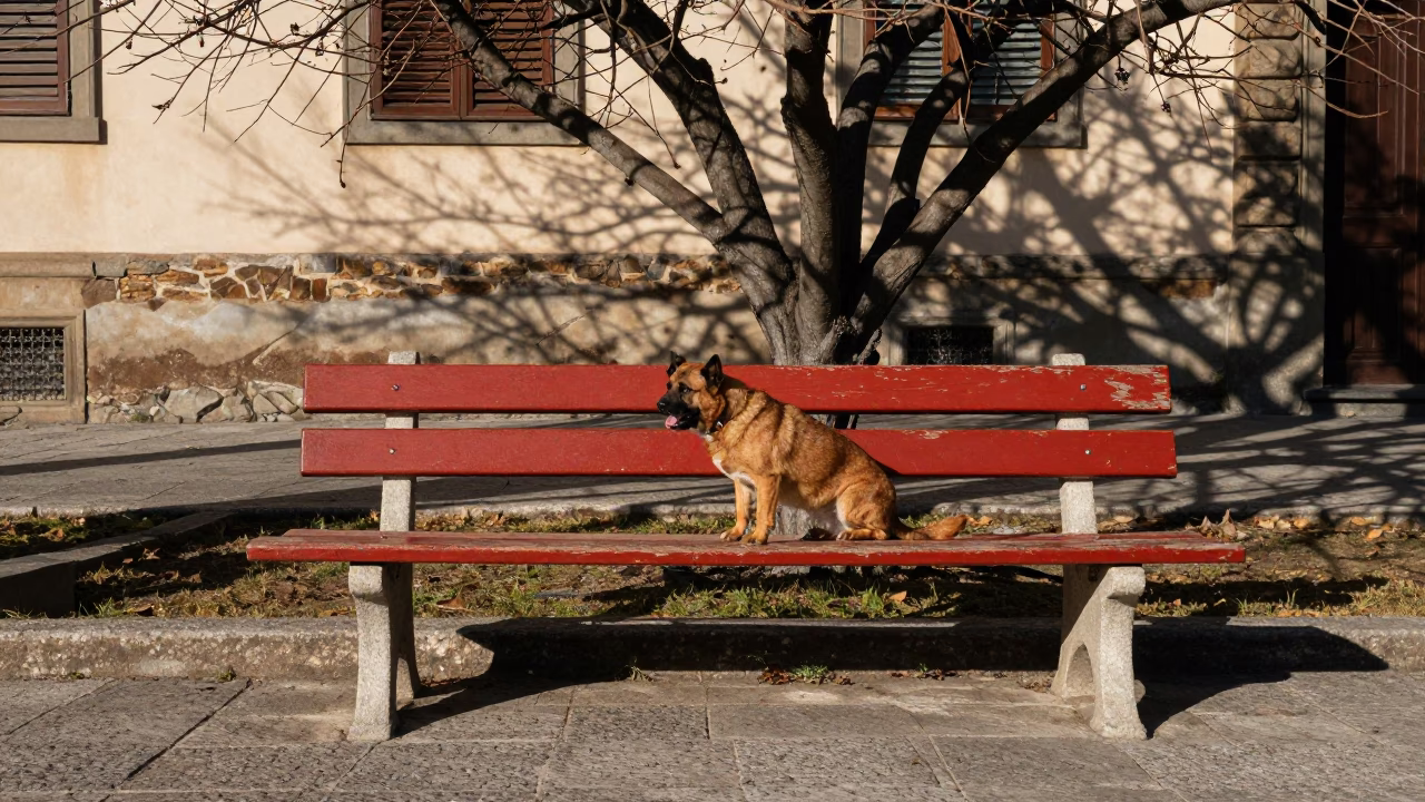 Brown Dog in Florence in in Florence, Italy