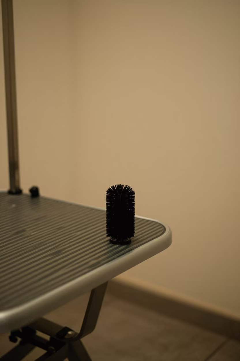 Brush cup in Mersin grooming bay in inside a grooming bay near Mersin