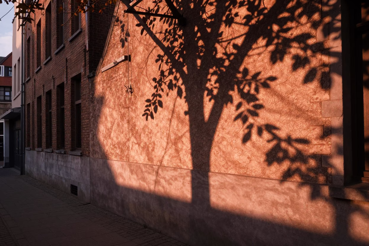 Brussels Belgium Copper Light Before Dusk Leaf Shadows Plaster Wall Steam Window in in Brussels, Belgium