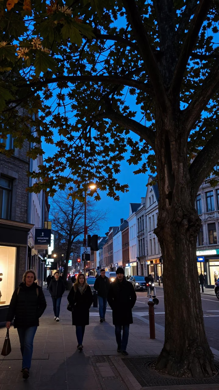 Brussels Belgium indigo twilight street scene with chestnut tree and local pedestrians in in Brussels, Belgium