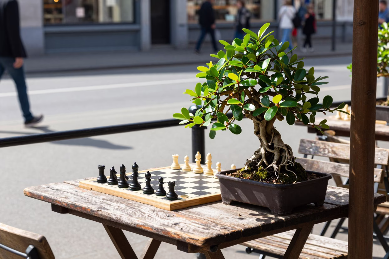 Brussels Cafe Terrace with Jade Plant Bonsai and Chess Clock in Bright Midmorning Light in in Brussels, Belgium