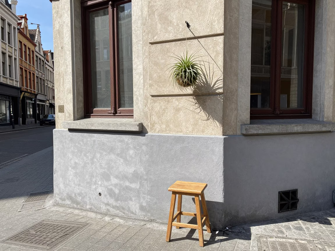 Brussels Noon Street Scene with Stool and Hanging Air Plant in Belgian Neighborhood in in Brussels, Belgium