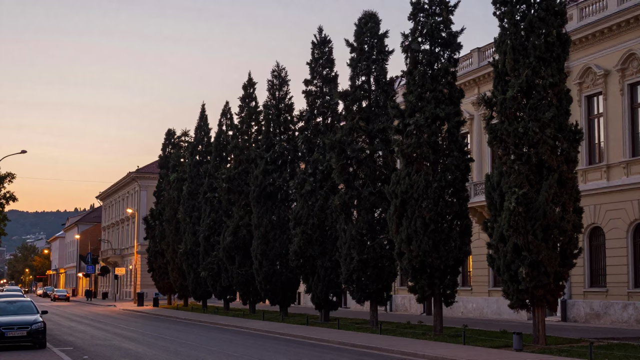 Budapest street scene at dusk with cypress trees and historic architecture in in Budapest, Hungary