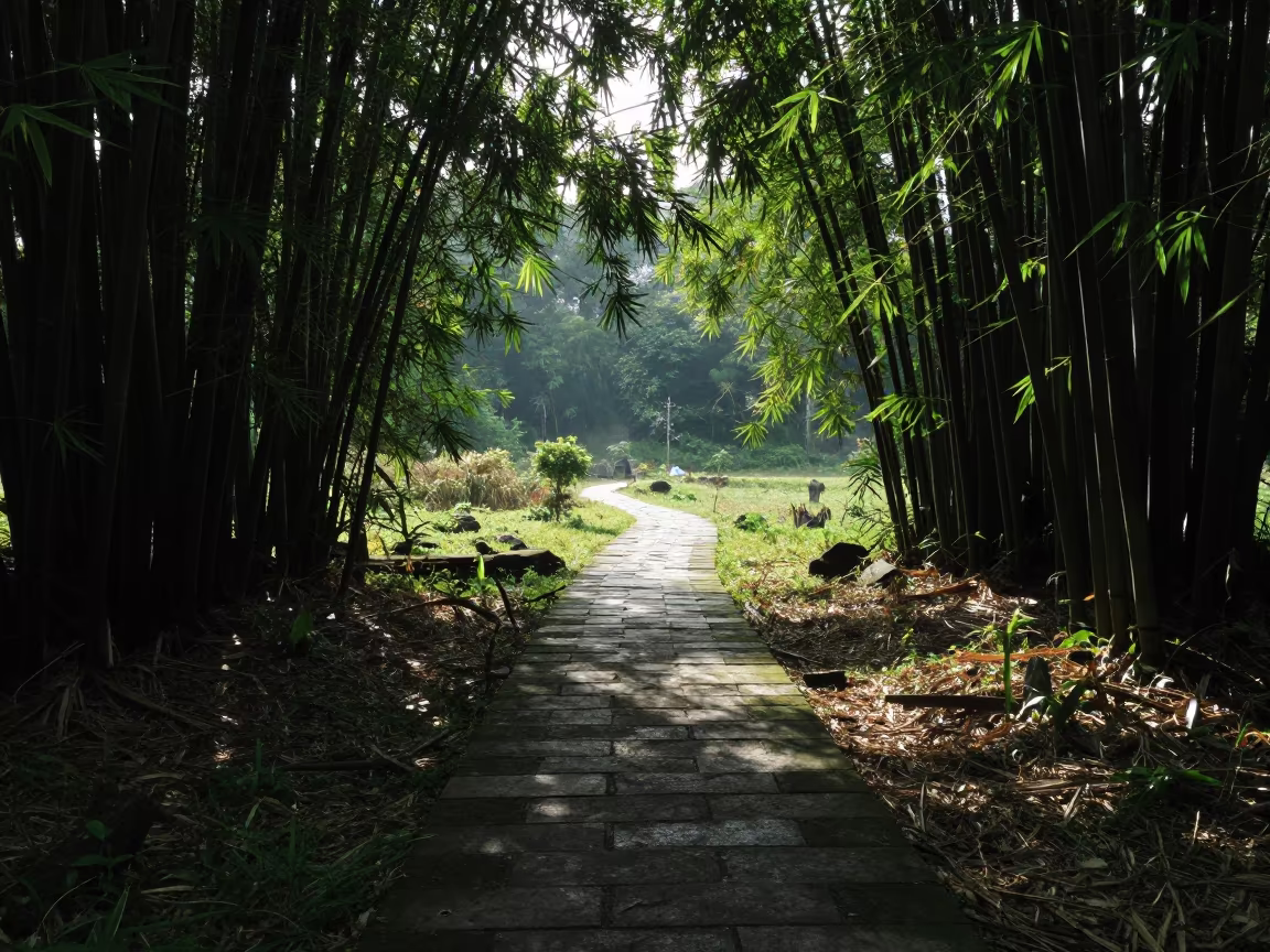 Buddhist Path Through Bamboo Forest Meadow in in a bloom-heavy meadow in Malaysia