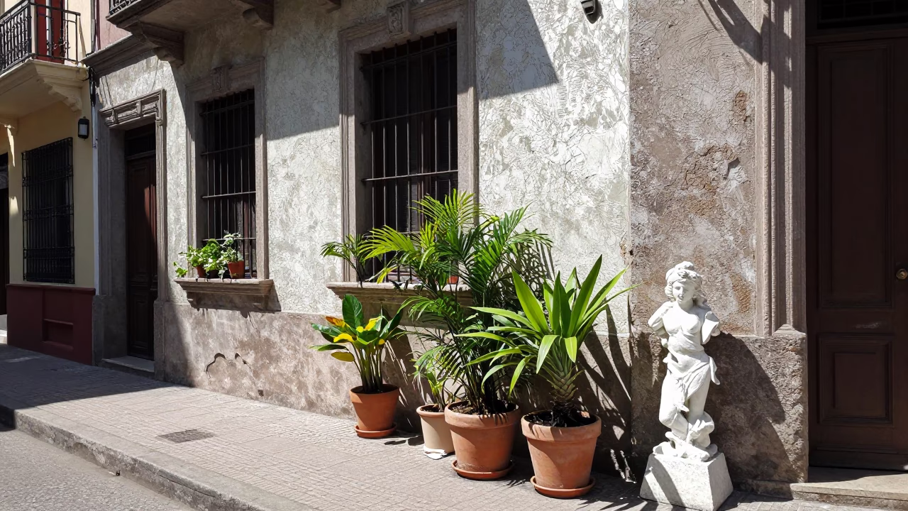 Buenos Aires Midday Street Scene with Potted Plants and Plaster Wall Details in in Buenos Aires, Argentina