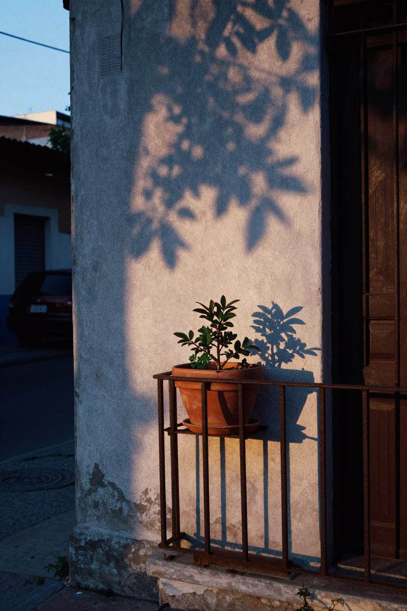 Buenos Aires Pre-Dawn Street Scene With Flowerpot And Leaf Shadows in in Buenos Aires, Argentina