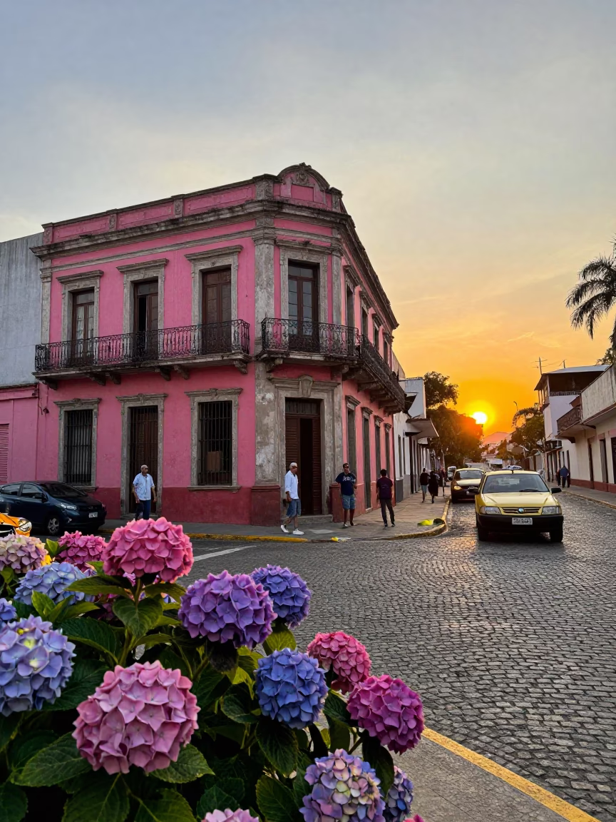 Buenos Aires street scene at sunset with colorful hydrangeas and local architecture in in Buenos Aires, Argentina