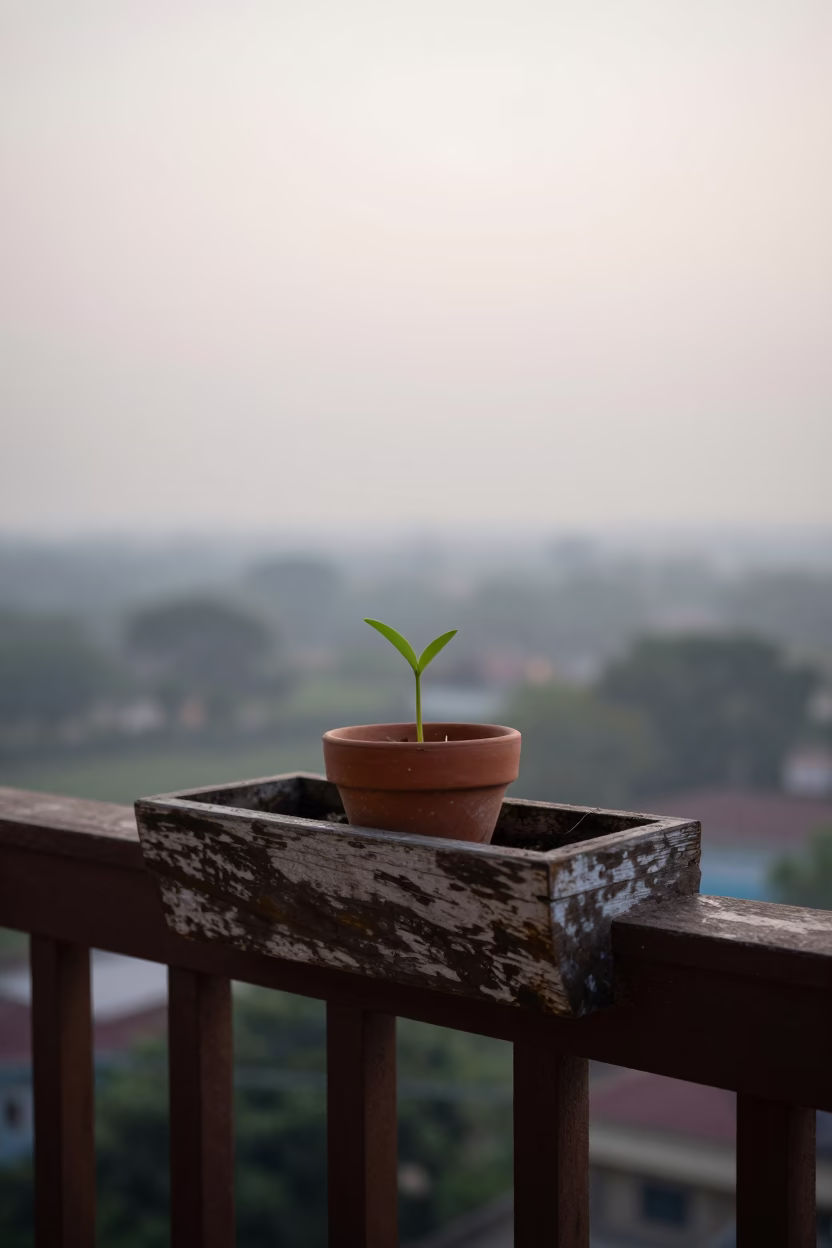 Bulb Planter in Delhi in in Delhi, India