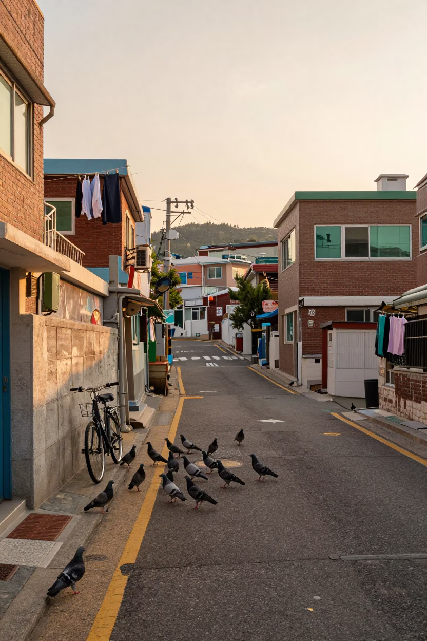 Busan South Korea Evening Street Scene with Pigeons and Local Life in in Busan, South Korea