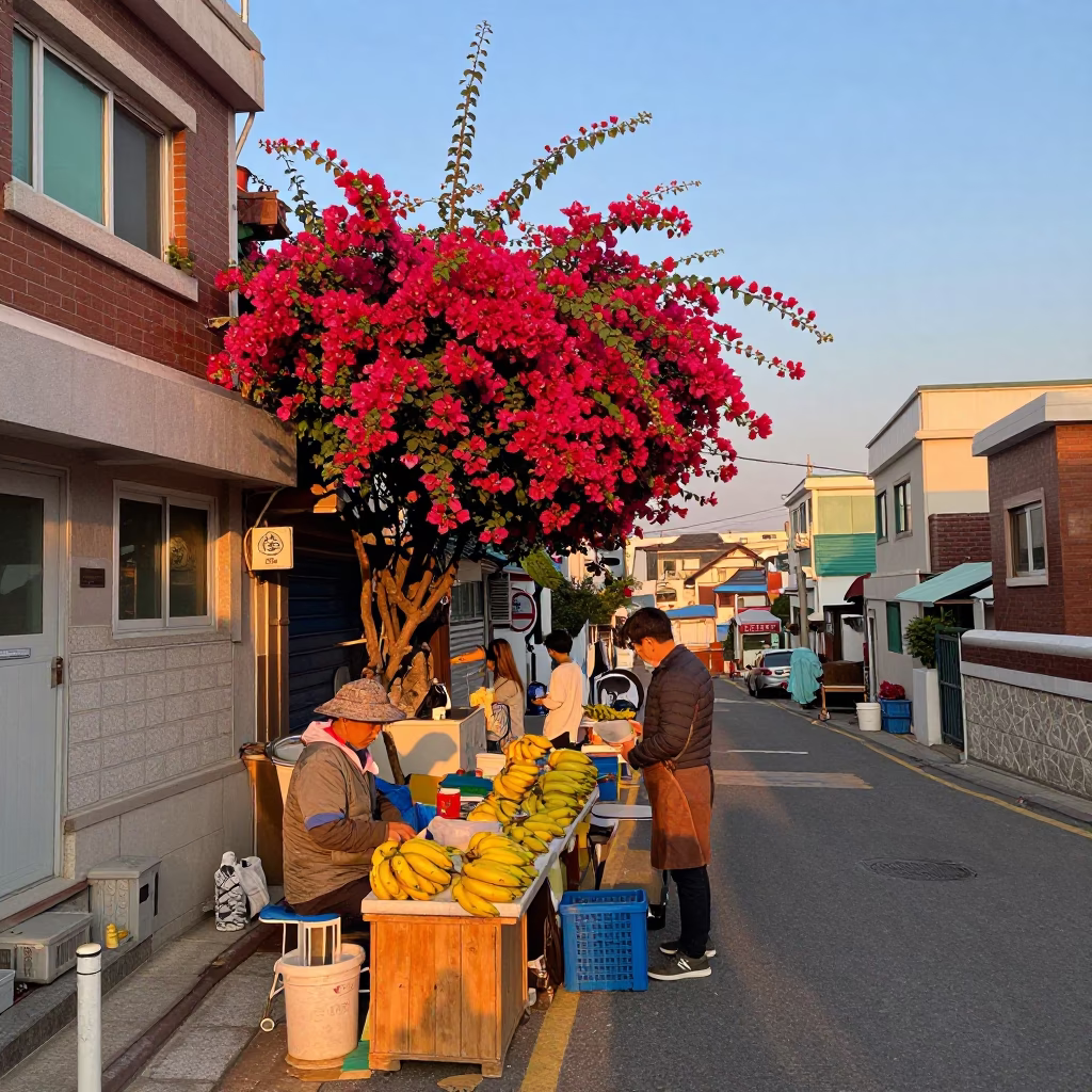 Busan Street Scene at Golden Hour with Bougainvillea and Local Market Activity in in Busan, South Korea