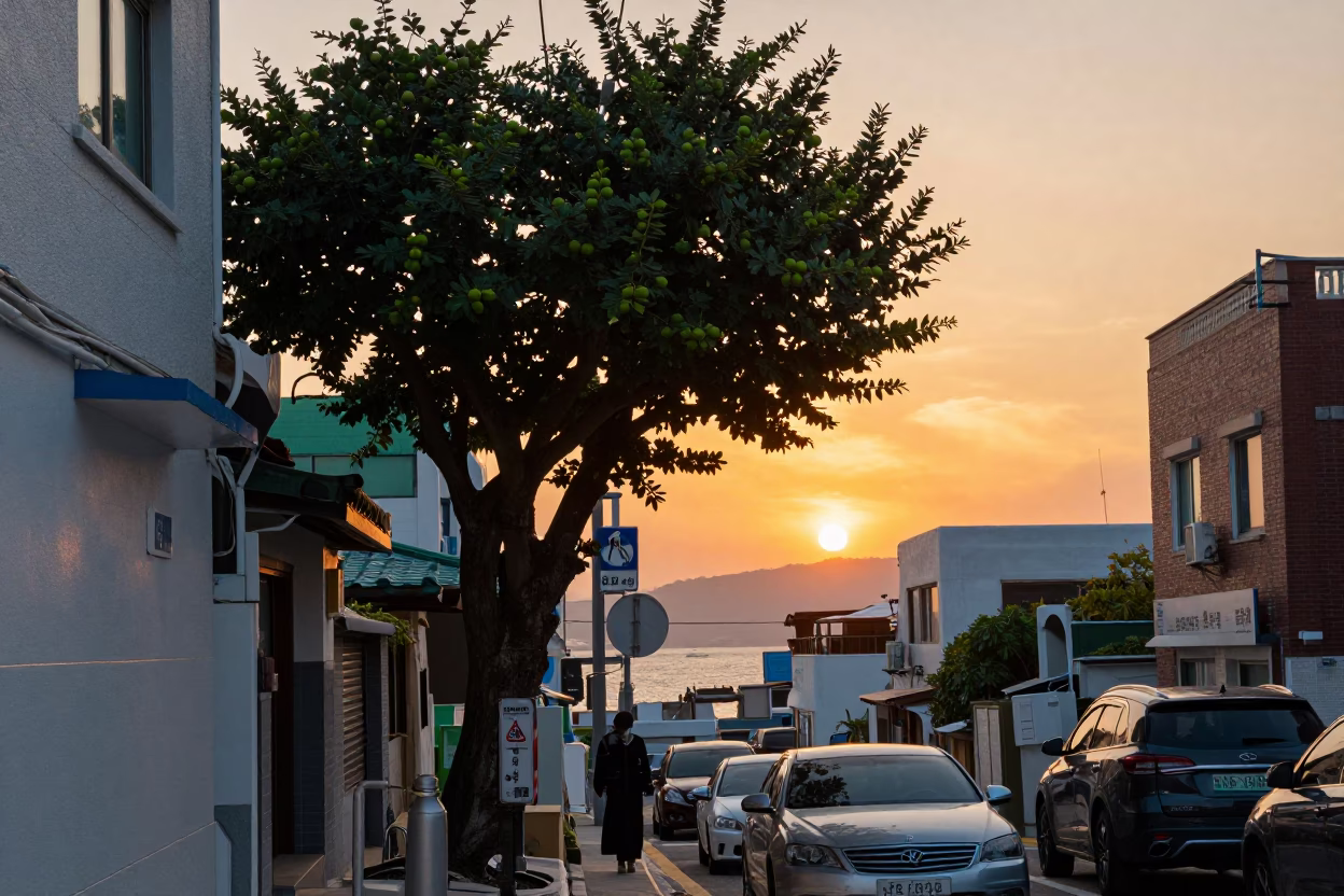 Busan Street Sunset Scene with Thermos and Fig Tree in South Korea in in Busan, South Korea