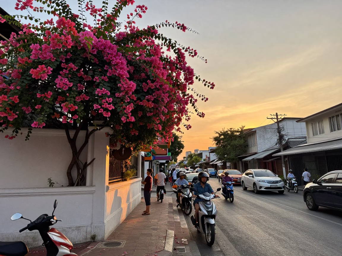 Bustling Phuket Street Scene at Sunset with Bougainvillea and Cargo Ship Horizon in in Phuket, Thailand