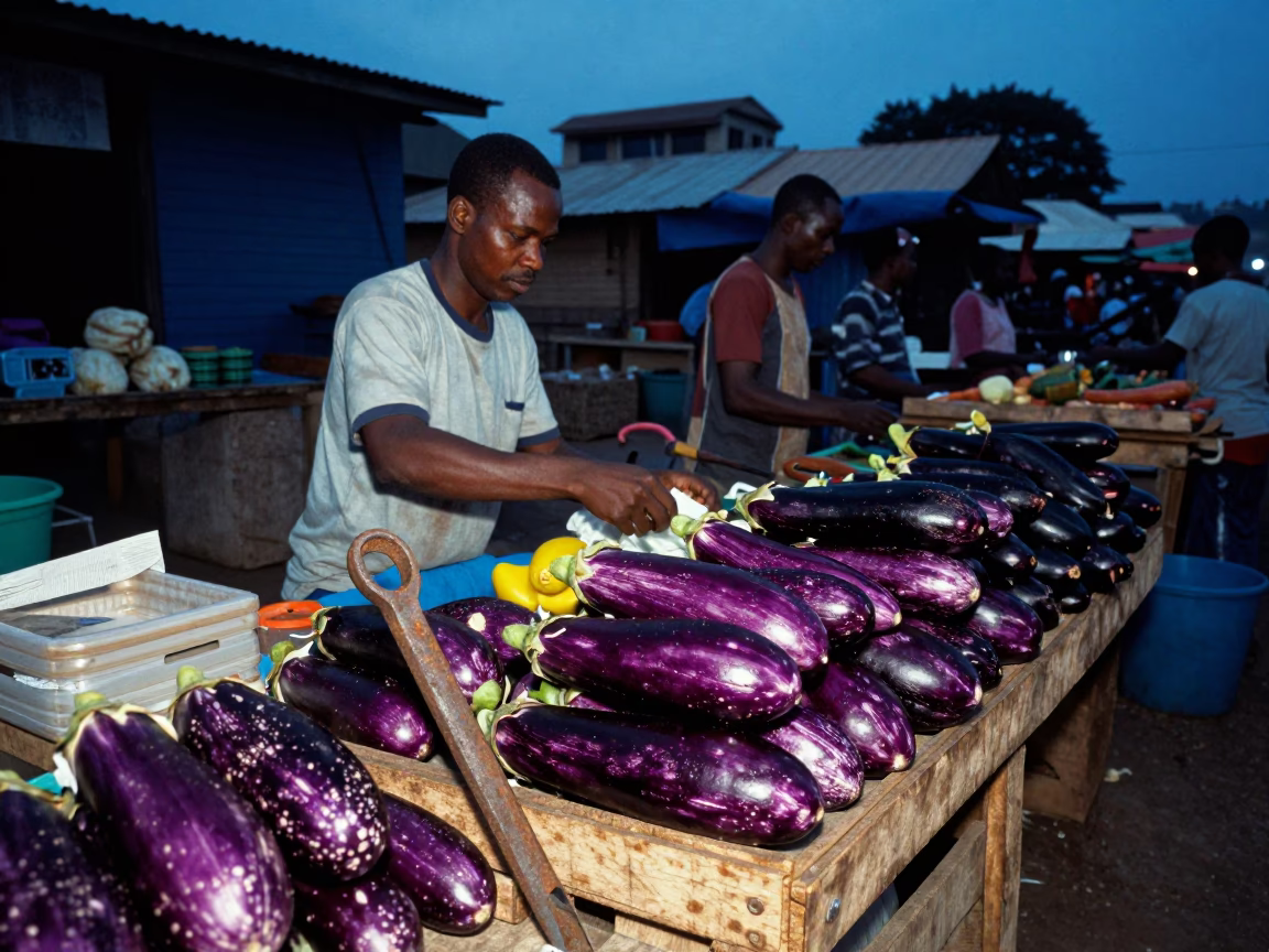 Busy Accra Market Stall Before Dawn with Hand Tools and Fresh Eggplants in Ghana in in Accra, Ghana