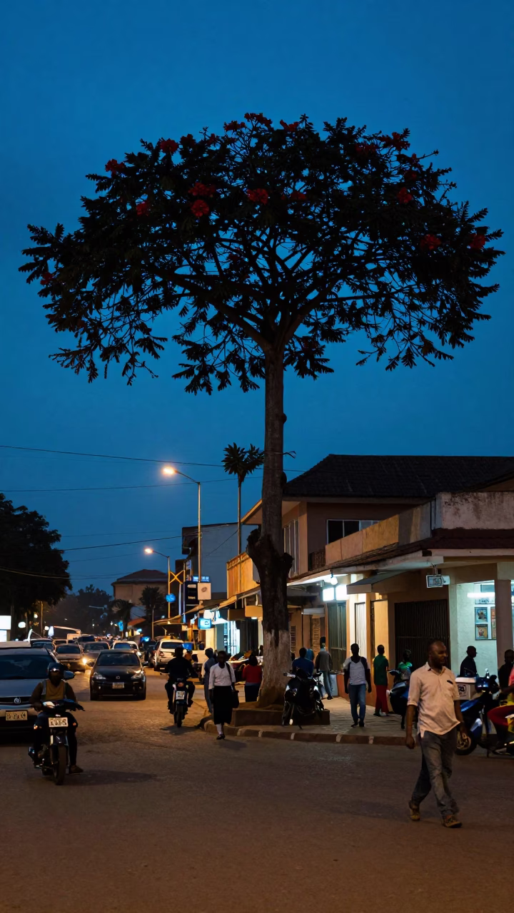 Busy Accra Street Scene in Evening Blue Light with Euphorbia Candelabra Tree in in Accra, Ghana
