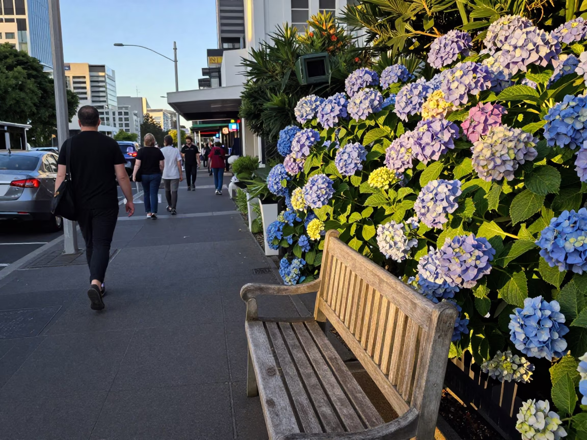 Busy Auckland Street Scene Late Afternoon with Hydrangeas and Vintage Details in in Auckland, New Zealand