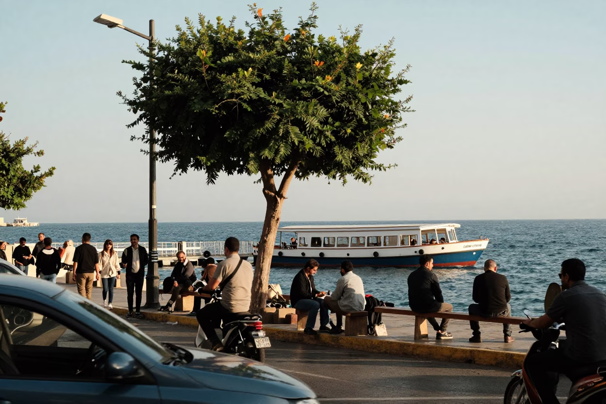 Busy Beirut Street Scene Late Afternoon with Fig Tree and Water Taxi in in Beirut, Lebanon