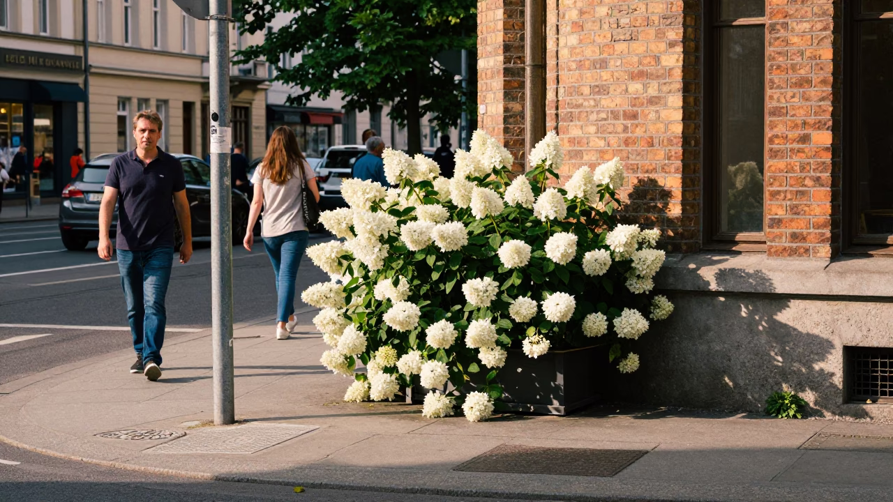 Busy Berlin Street Corner with Hydrangeas and Local Pedestrians in Early Afternoon in in Berlin, Germany