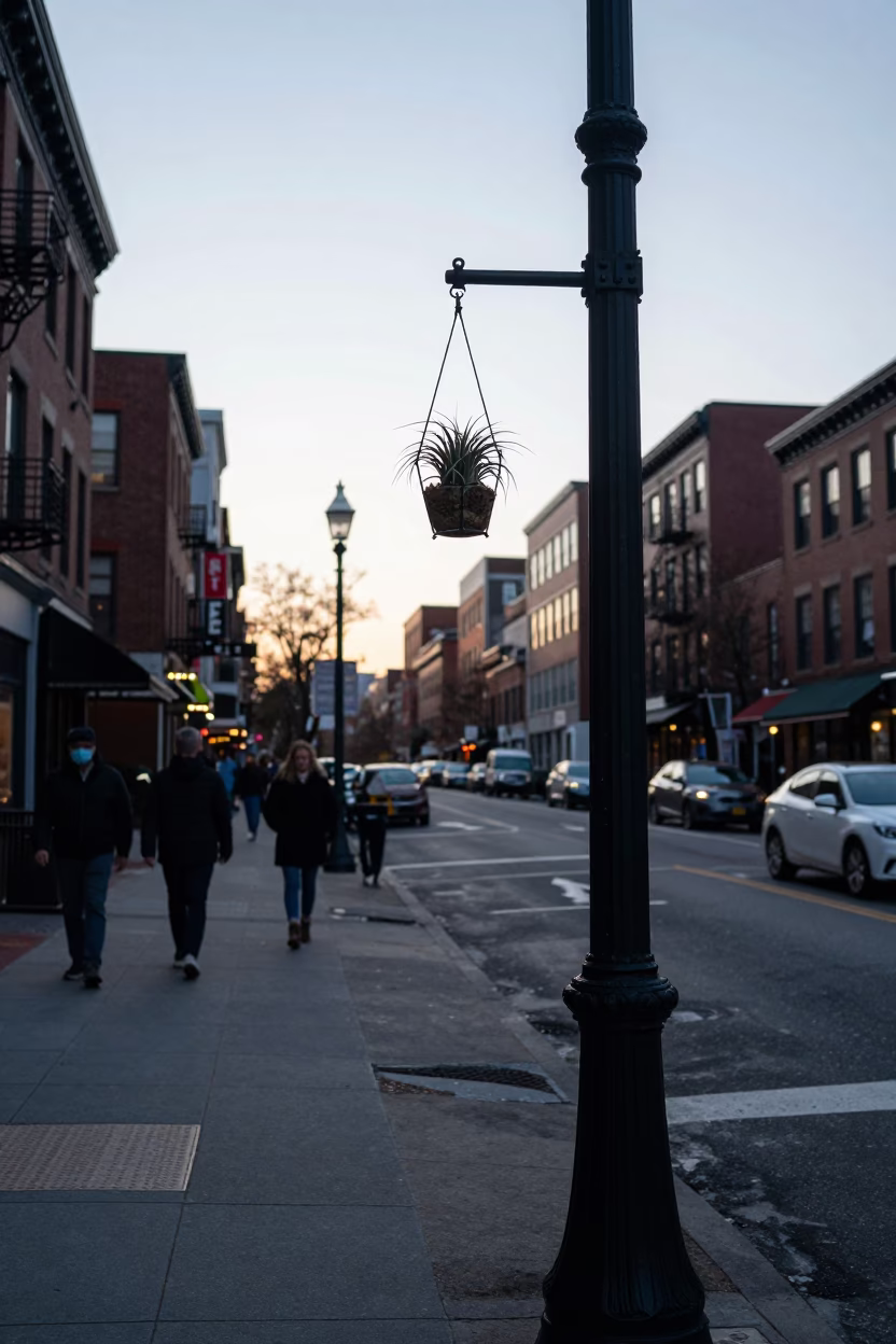 Busy Boston Street Scene Before Sunrise with Hanging Air Plant and Urban Details in in Boston, Massachusetts, United States