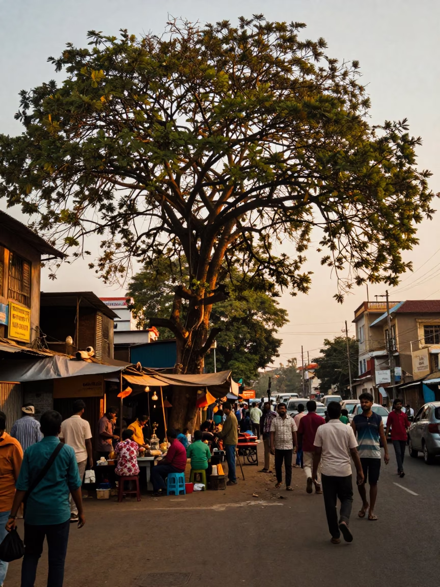 Busy Chennai Street Scene at Sunset with Kapok Tree and Local Life in in Chennai, India